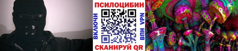 Псилоцибиновые грибы Psilocybine cubensis  Дмитров 